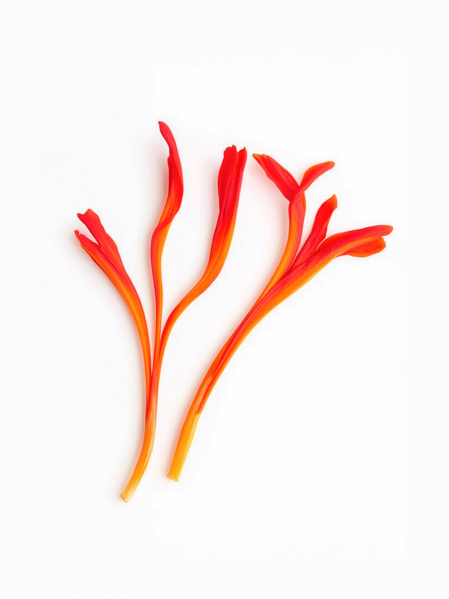 6061 CANDLE