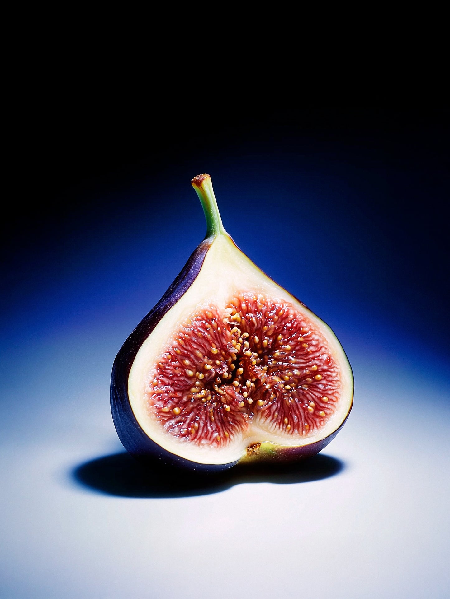 CANDLE FIG LEAF